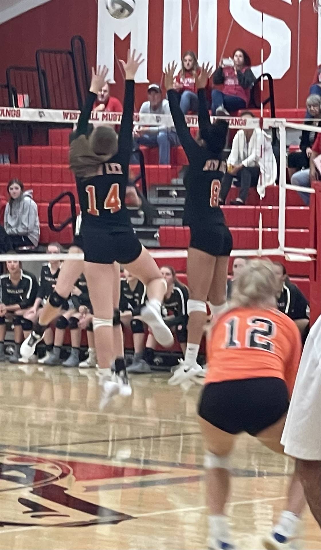 Volleyball District Tournament Game vs Westfall