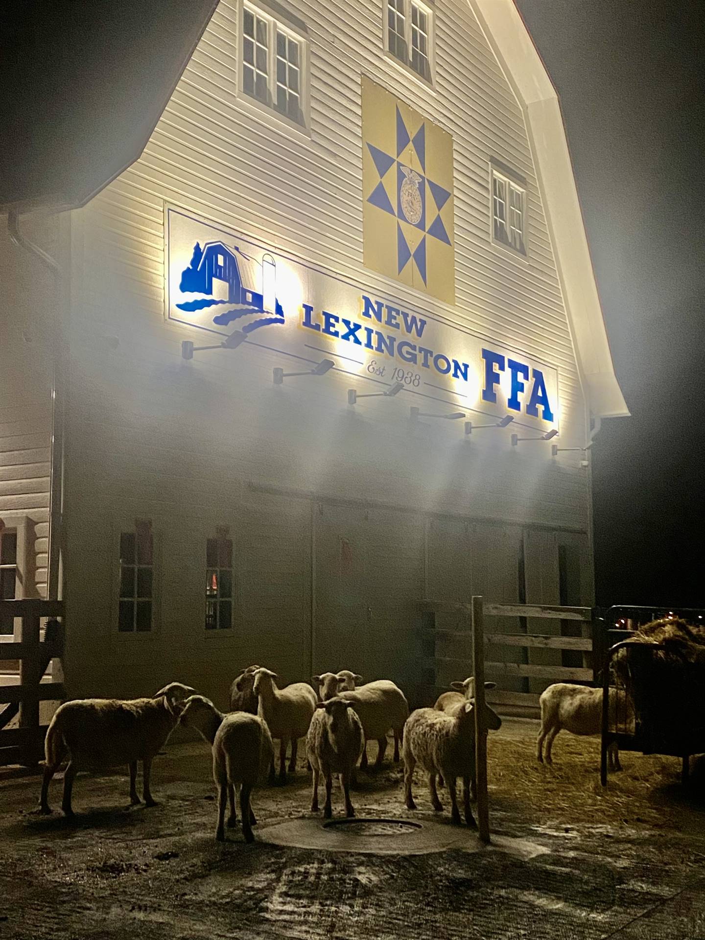 FFA adds 10 new Ewes to the Barn