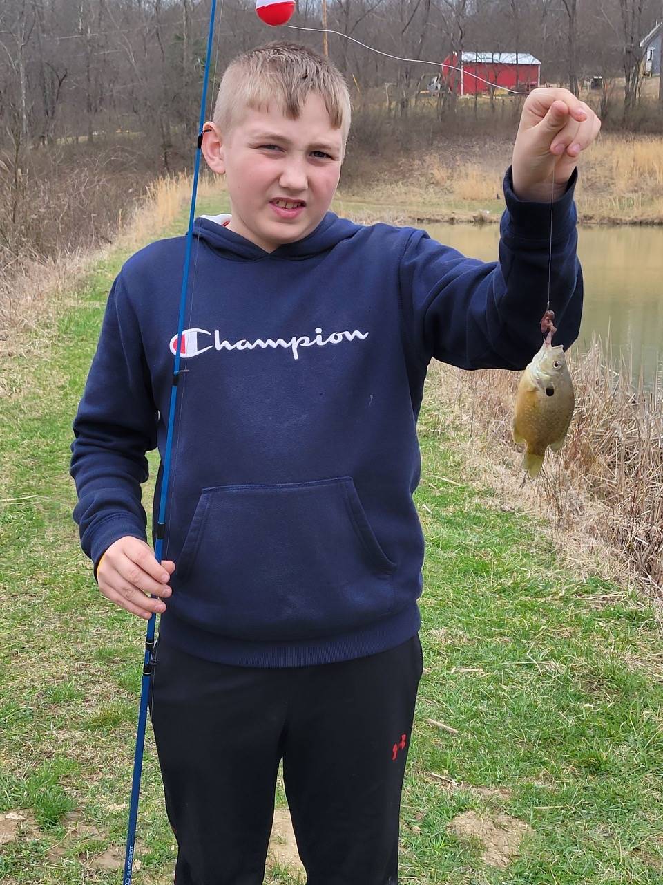 Fish