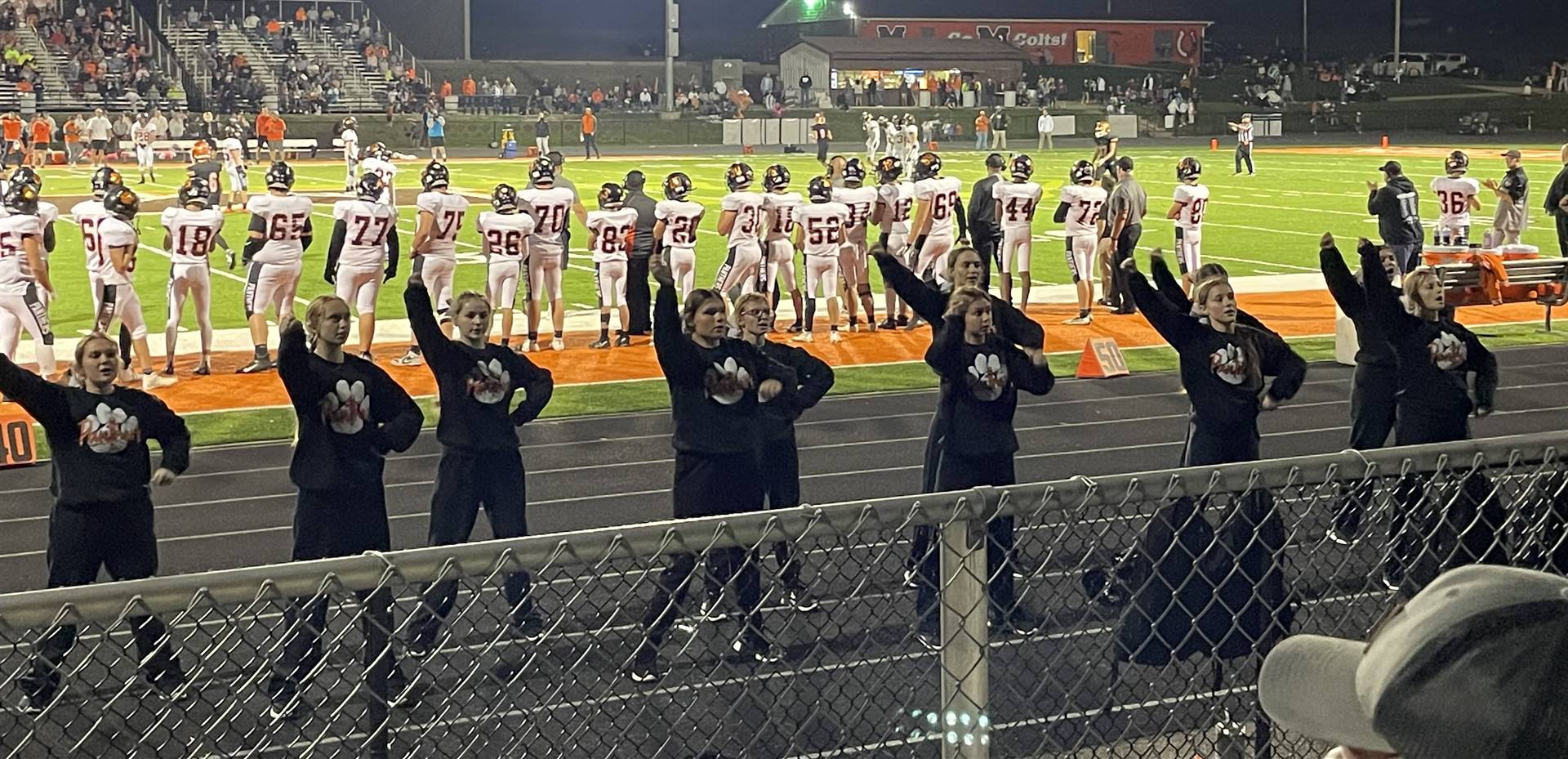 Cheerleaders Performing at the Meadowbrook Game
