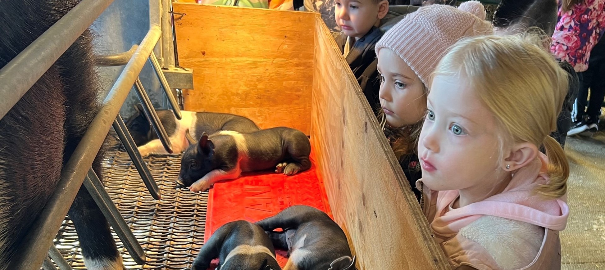 Elementary Students at the farm